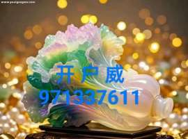 维971337611 腾龙公司现场负责人办理会员账号流程