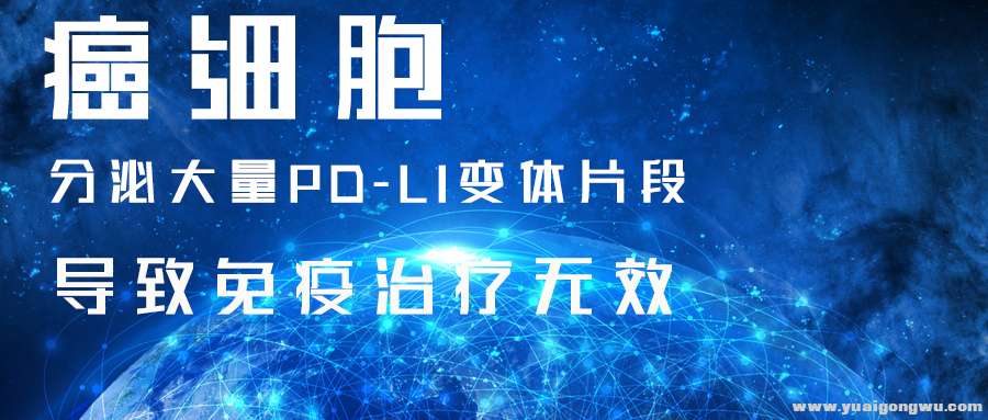 癌细胞分泌大量PD-L1片段使得免疫治疗无效.jpg