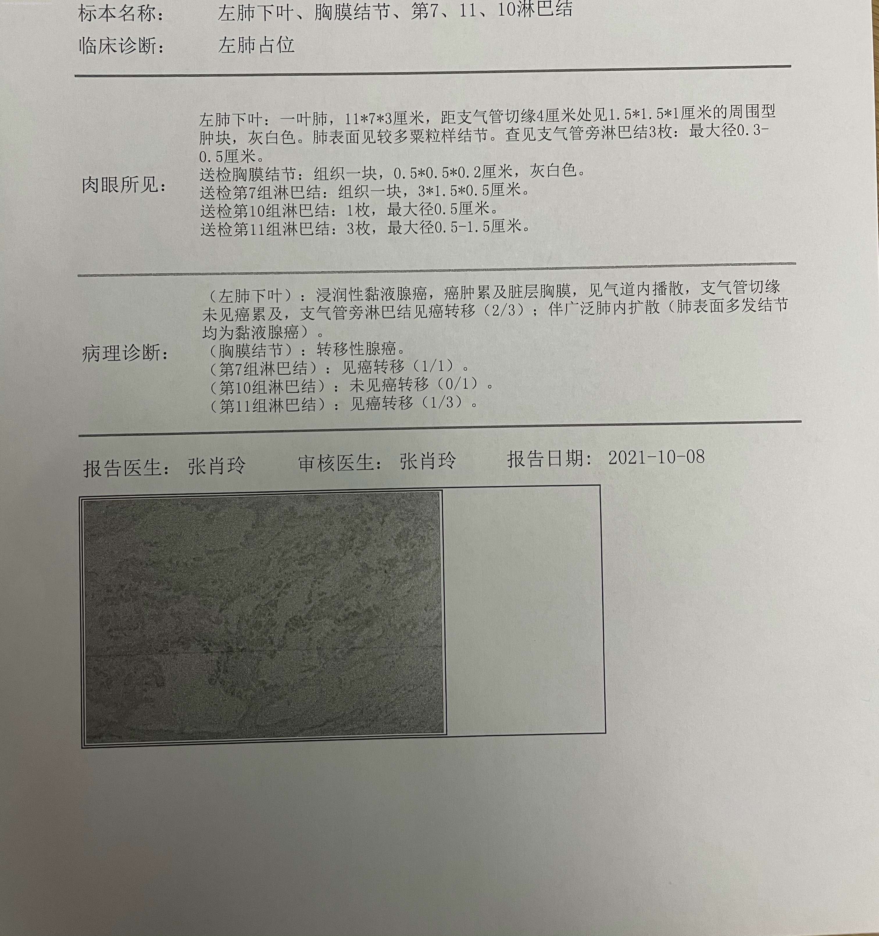 微信图片_20211019100315.jpg